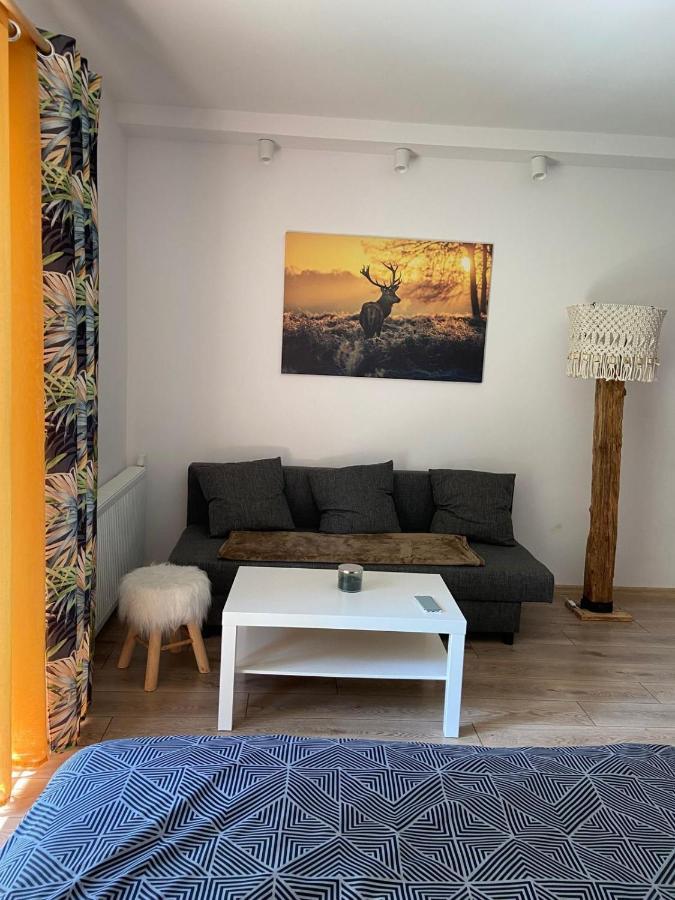 Hotel Jeleni Ruczaj à Karpacz Extérieur photo